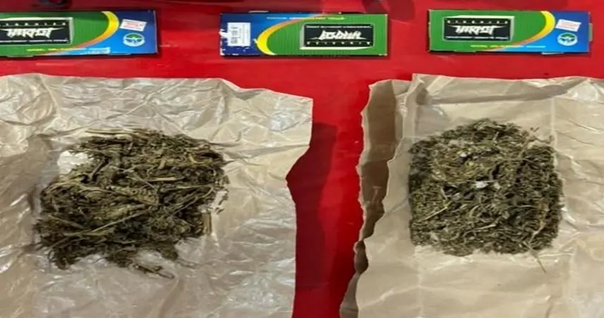 Paket Ganja 23,27 Gram yang diamankan petugas.