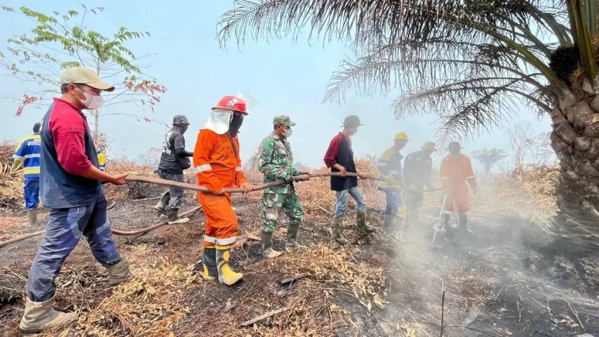 Kabut asap, krisis air bersih,hingga antrean BBM landa warga di Kayong Utara.