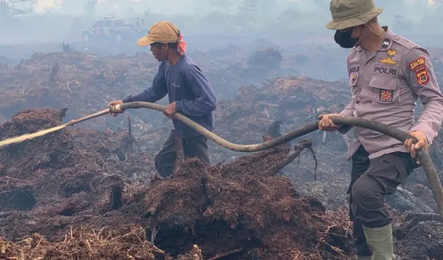 Dari Lamandau hingga Ketapang, 5 Izin PBPH Dicabut Menhut: WALHI Tagih 144 Perusahaan