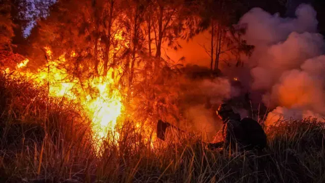 Prabowo Kerahkan Seluruh Sumber Daya Tangani Karhutla, 639 Hektare Lahan Masih Ditangani