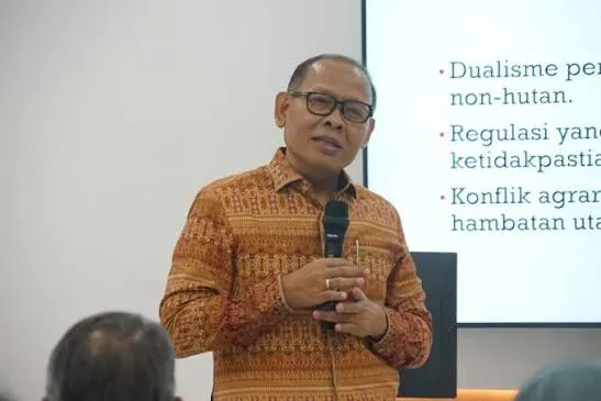 Pakar Dorong Aturan Karhutla Diperkuat, Pencegahan dan Penegakan Hukum Jadi Sorotan