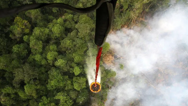 Hotspot Karhutla Kalbar Naik Jadi 184 Titik, Ketapang Jadi Perhatian