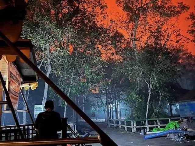 Perjuangan Ekstrem Petugas Padamkan Karhutla Tanjung Puting di Tengah Terpaan Angin Kencang